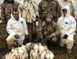 Spring snow goose hunt