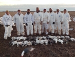 Snow goose hunt