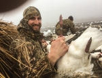 spring snow goose hunt