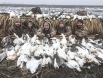 snow goose hunting