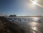 Missouri duck hunting