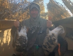 Specklebelly goose hunt