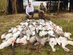 snow goose hunt