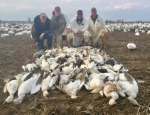 Missouri snow goose hunting