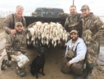 Snow Goose hunting