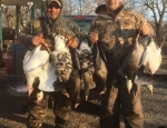 specklebelly goose hunting