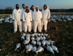 snow goose hunt