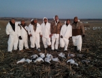 snow goose hunting