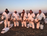 spring snow goose hunt