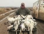 snow goose hunt