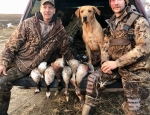 duck and goose hunting