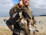 Missouri Specklebelly goose hunt