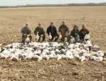 Missouri snow goose hunt