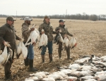 guided snow goose hunt