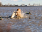 guided duck hunting