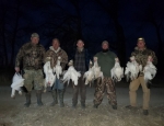 snow goose hunting trip