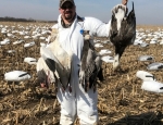 Missouri snow goose hunting