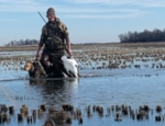 Early season duck and goose hunting
