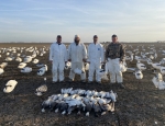 Hunterss with a pile of snow geese