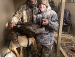 Missouri goose hunting