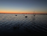 Sunrise in SE Mo duck season