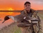 nice pintail taken on a guided duck hunt