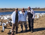 Hunter spring snow goose hunting Missouri