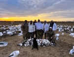 Hunters with a pile of  south eastern snow geese