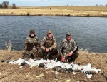 snow goose hunting in Missouri