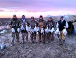 Missouri snow goose hunt (2)