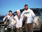 Spring  snow goose hunting