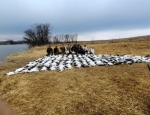 NW Missouri spring snow goose hunting