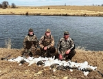 NW Missouri spring snow goose hunting