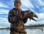 Nice bird taken while duck hunting SE Missouri