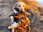 Rose with a nice specklebelly goose taken on a SE Missouri goose hunting trip