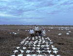 Southeast Missouri snow goose hunting trip