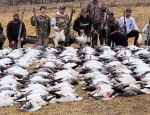 Spring snow goose hunting NW Missouri