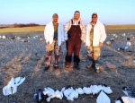 Wisconsin hunters with a few from a snow goose hunting trip