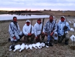 snow goose hunt in NW Missouri