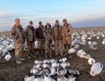 Southeast Missouri snow goose hunting