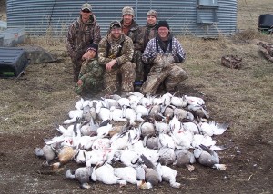 Snow Goose Hunting in the Spring Time