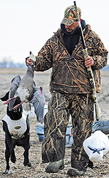 Professional Missouri Snow Goose Hunting Guides