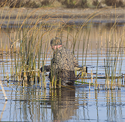 Tips for Missouri Waterfowl hunting