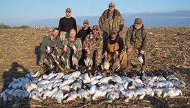 How to Choose a Guide for Your Spring Snow Goose Hunts