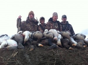 Specklebelly Goose Hunting Explodes in SE Missouri