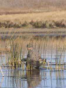 Top 5 Duck Hunting Tips for a Great Hunt!