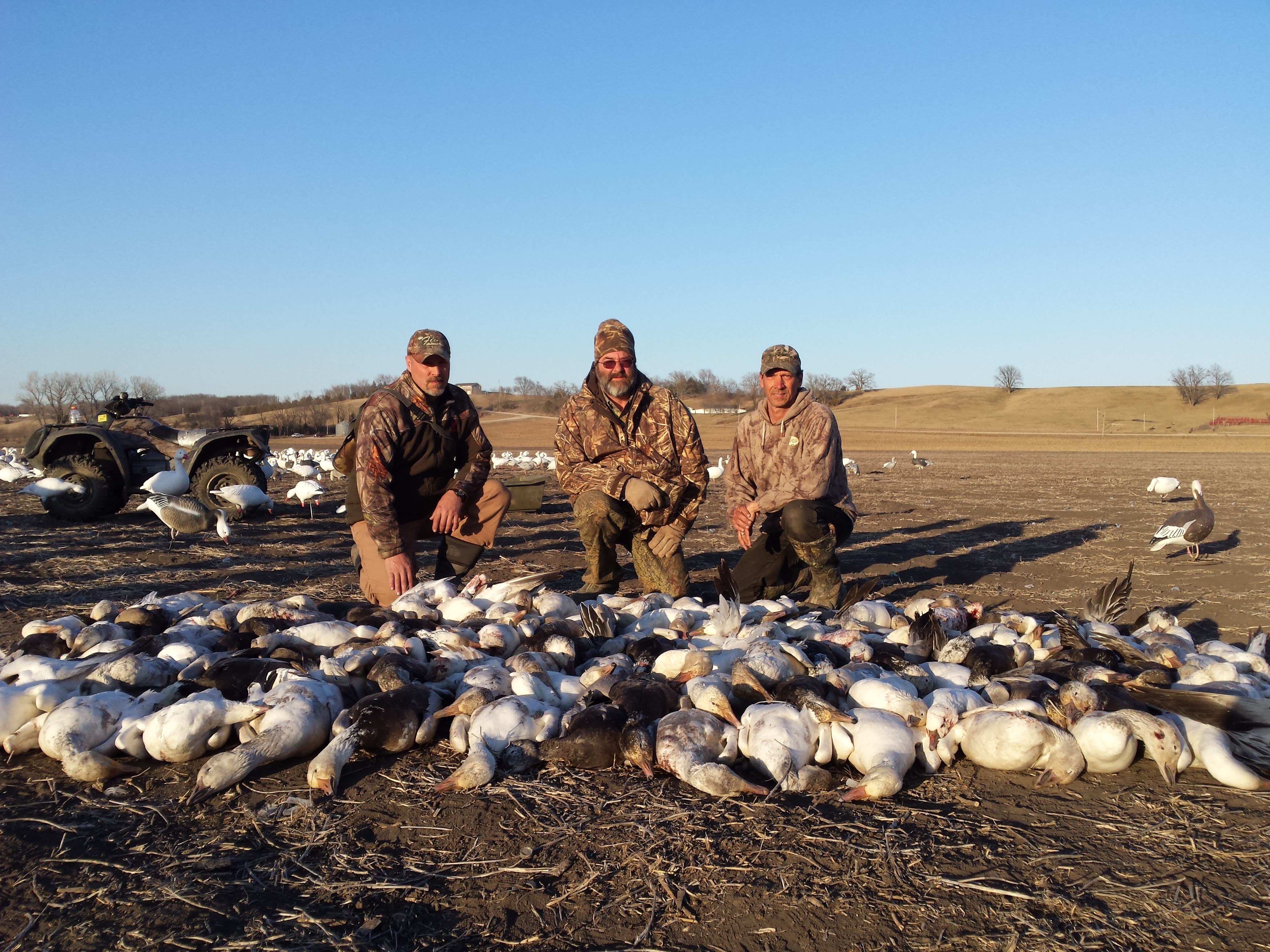 Planning a Guided Hunt? Here’s What to Expect From Your Snow Goose Hunting Outfitter