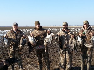 Guided Specklebelly Goose Hunting
