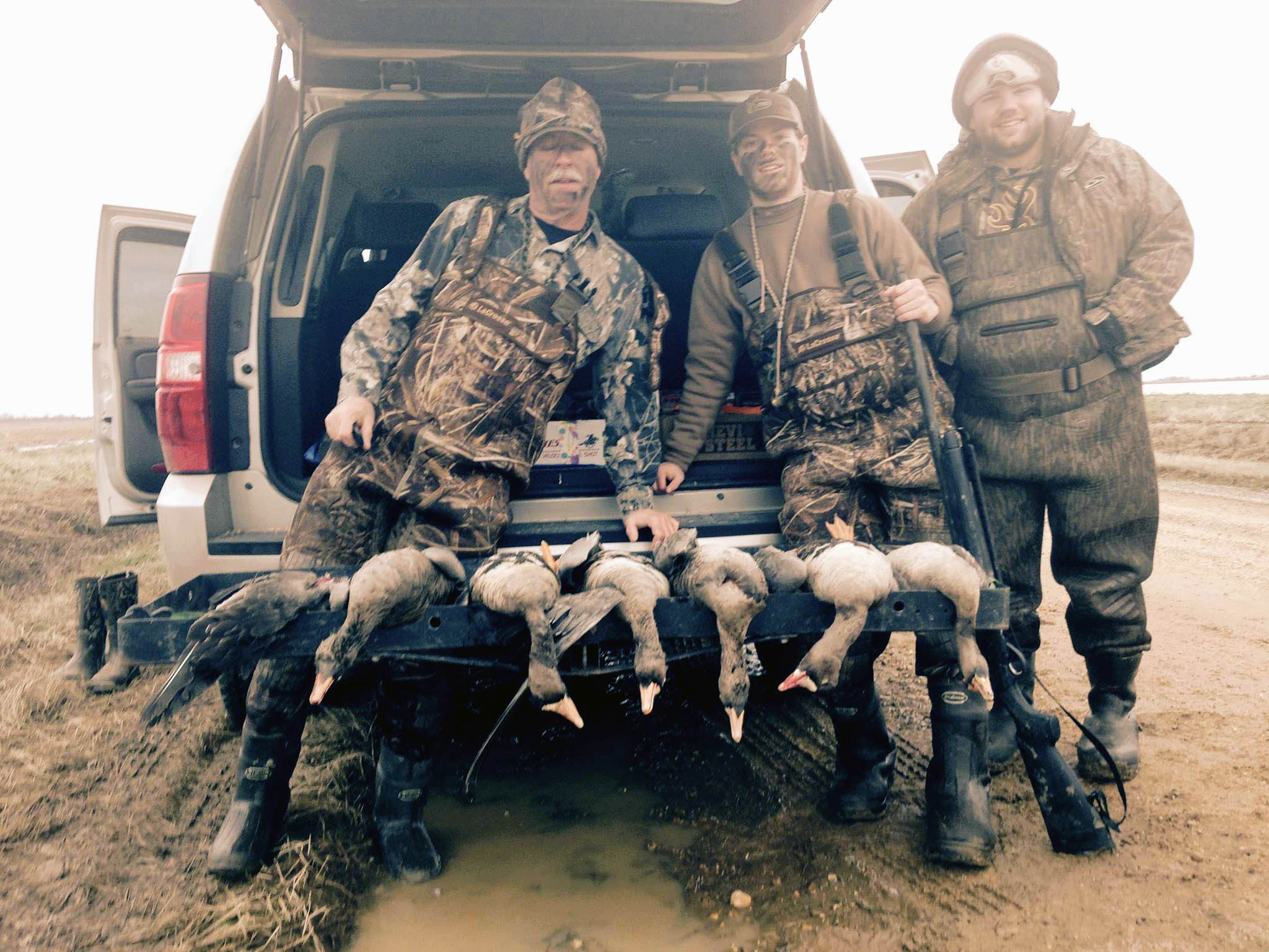 specklebelly goose hunting