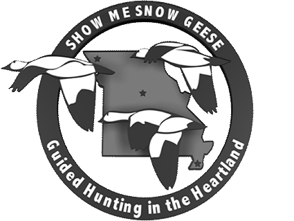 Show Me Snow Geese